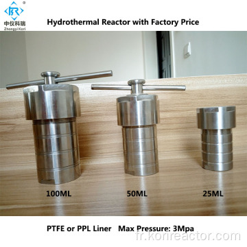 Réacteur autoclave hydrothermal de laboratoire doublé de PTFE 50 ml